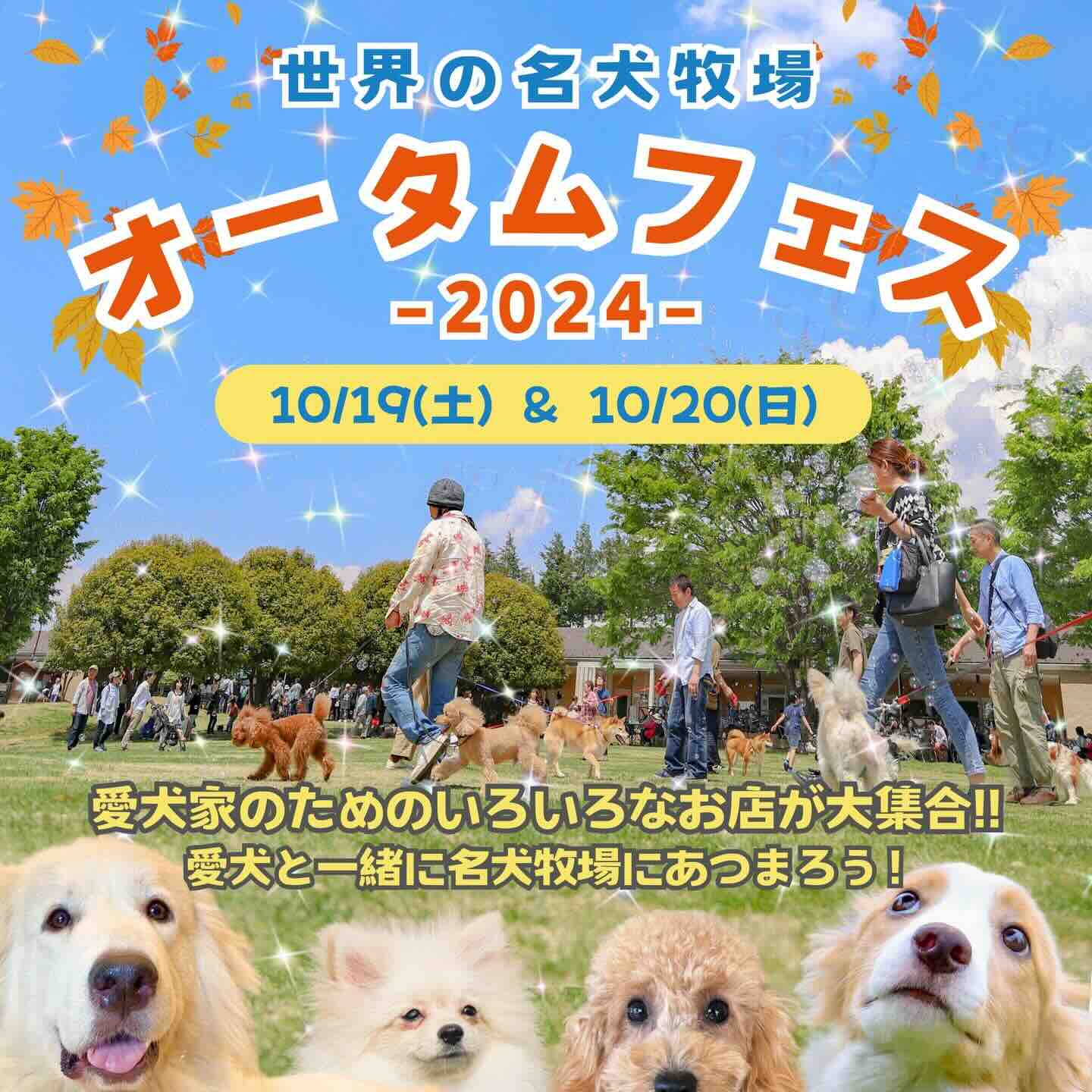 世界の名犬牧場オータムフェス2024の画像