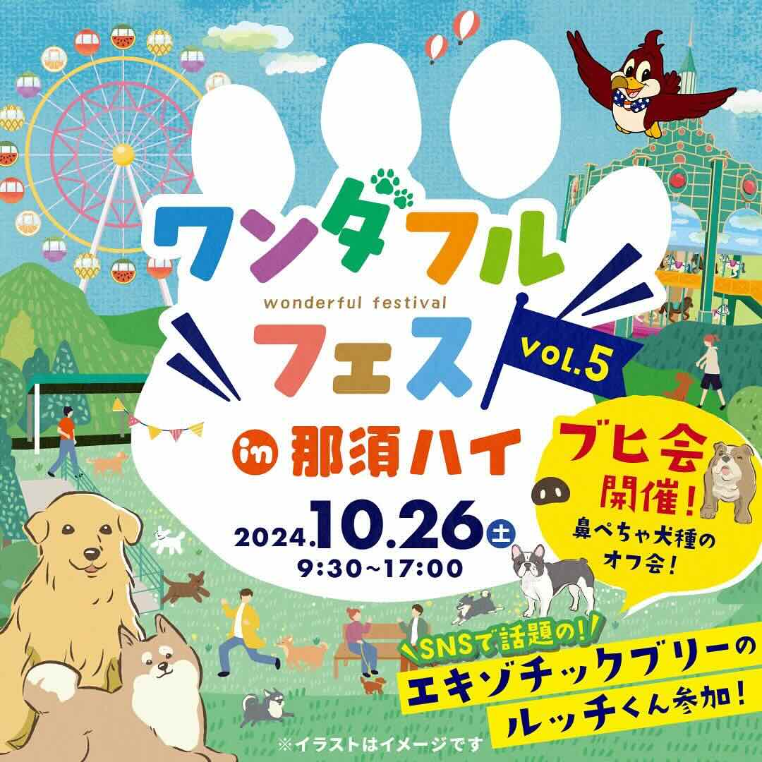 ワンダフルフェスVOL.5の画像