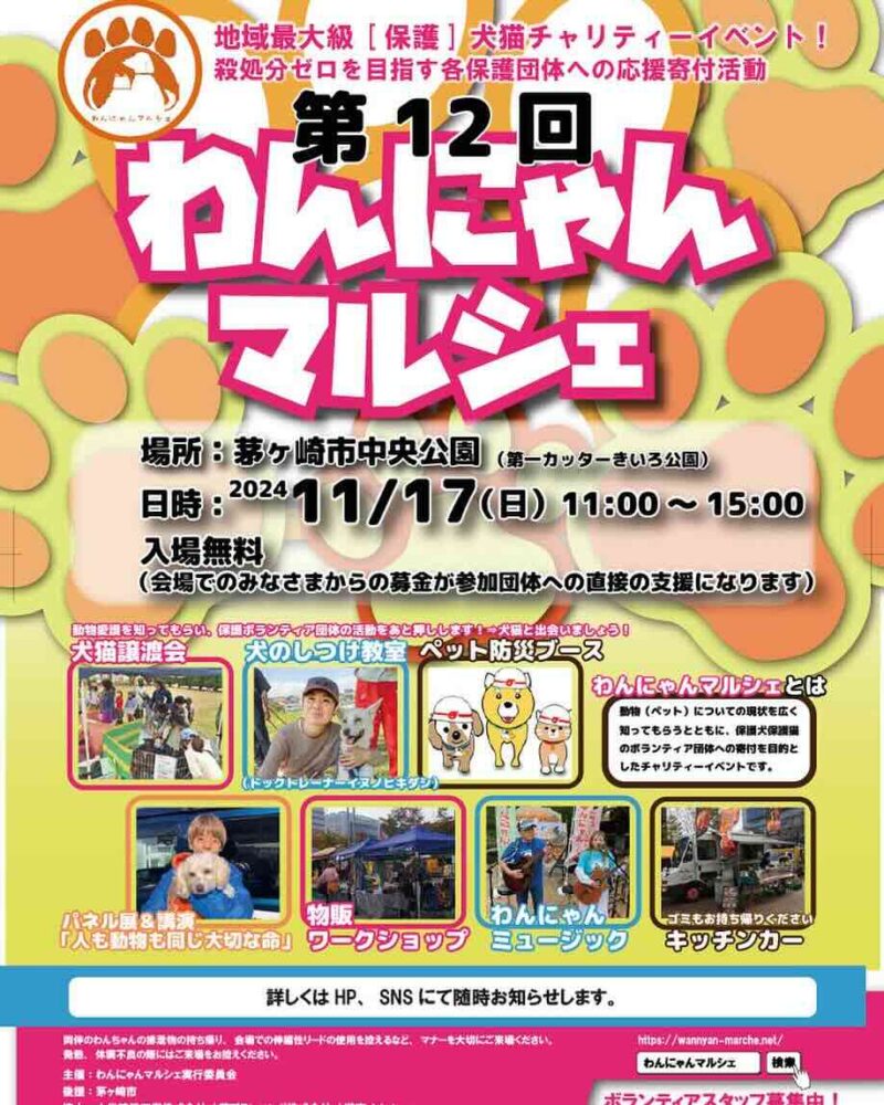 第12回 わんにゃんマルシェの画像