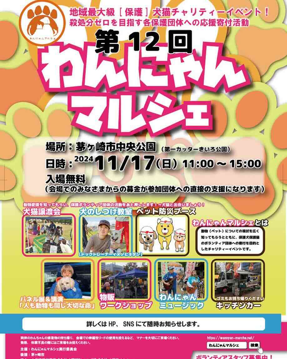 第12回 わんにゃんマルシェの画像