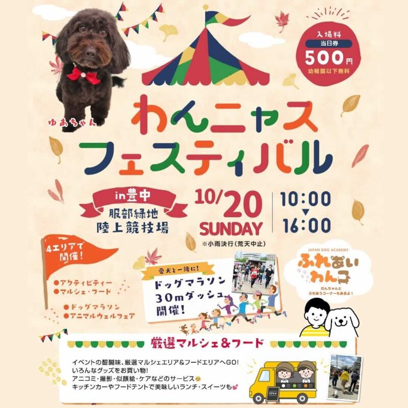 わんニャスフェスティバル in 豊中の画像