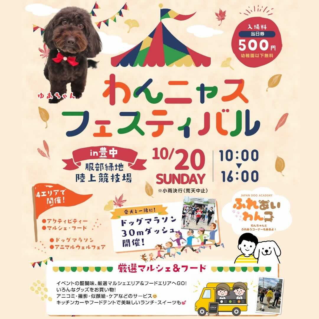 わんニャスフェスティバル in 豊中の画像
