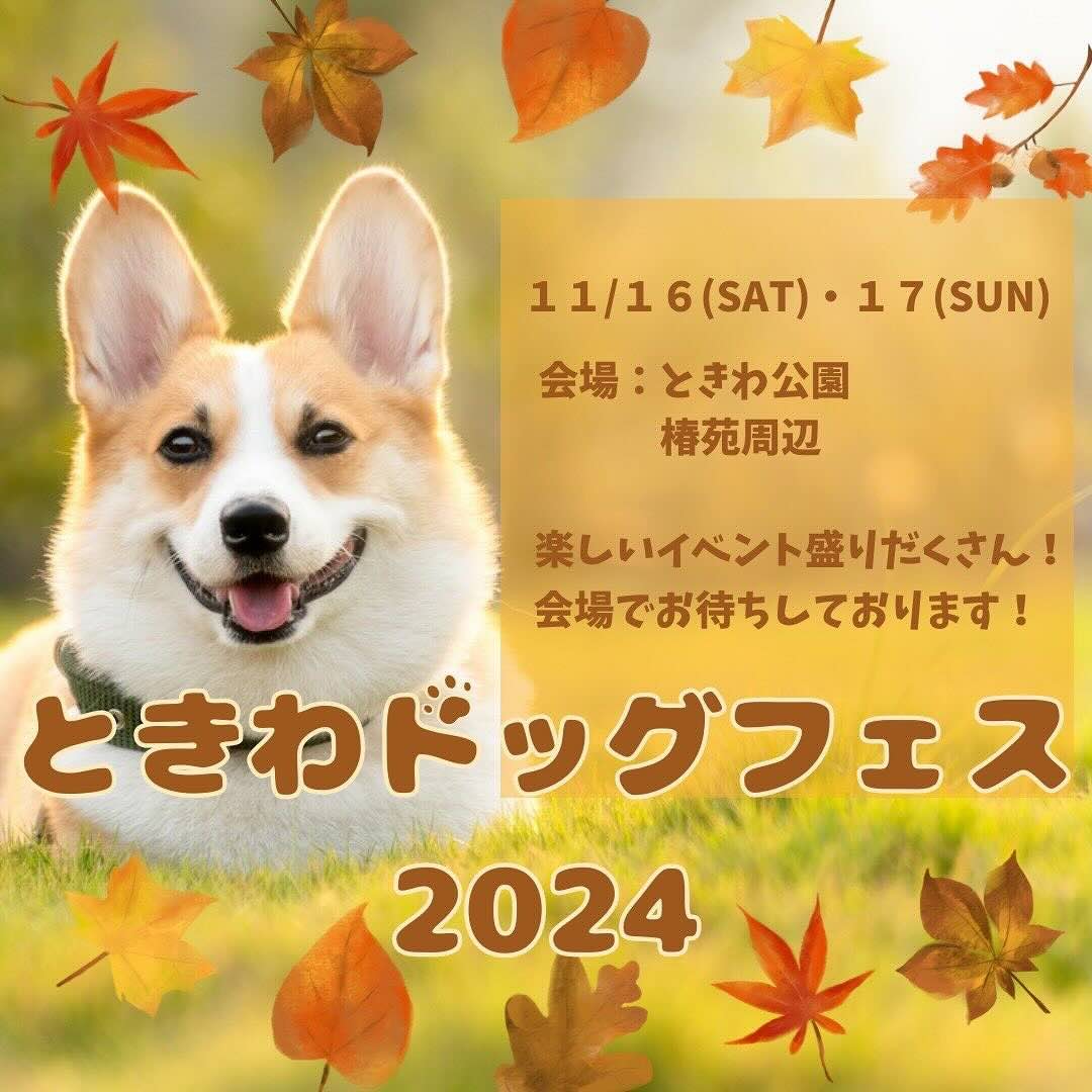 ときわドッグフェス 2024の画像
