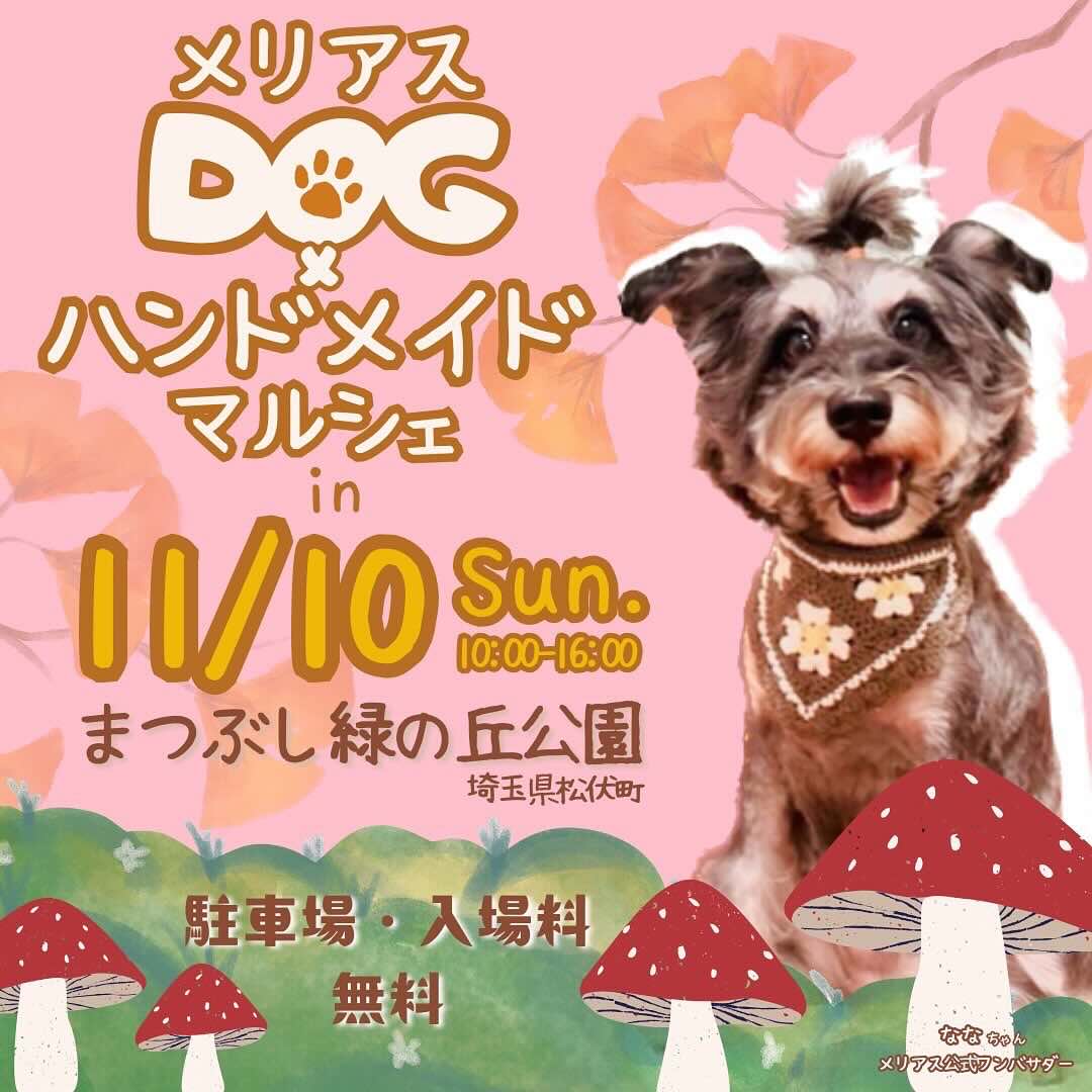 メリアスDOG ×ハンドメイドマルシェんの画像