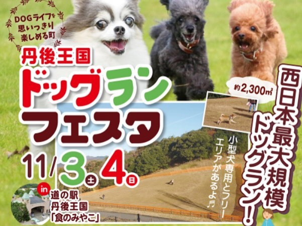 丹後王国ドッグランフェスタの画像