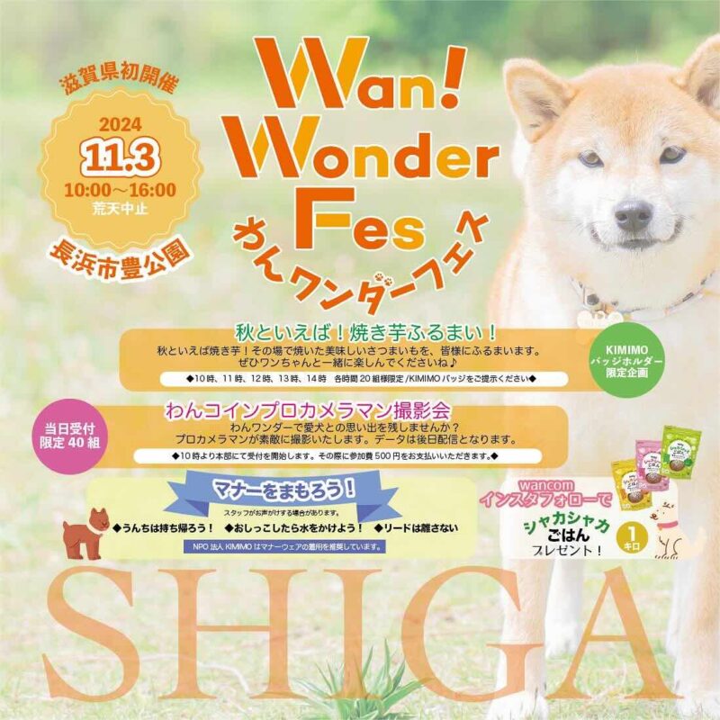 わんワンダーフェス＠長浜市豊公園の画像