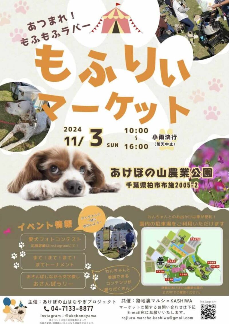 もふりぃまーけっと-ぷち-の画像