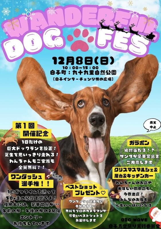第1回 WANDERFUL DOG FES（わんダフルドッグフェス）の画像