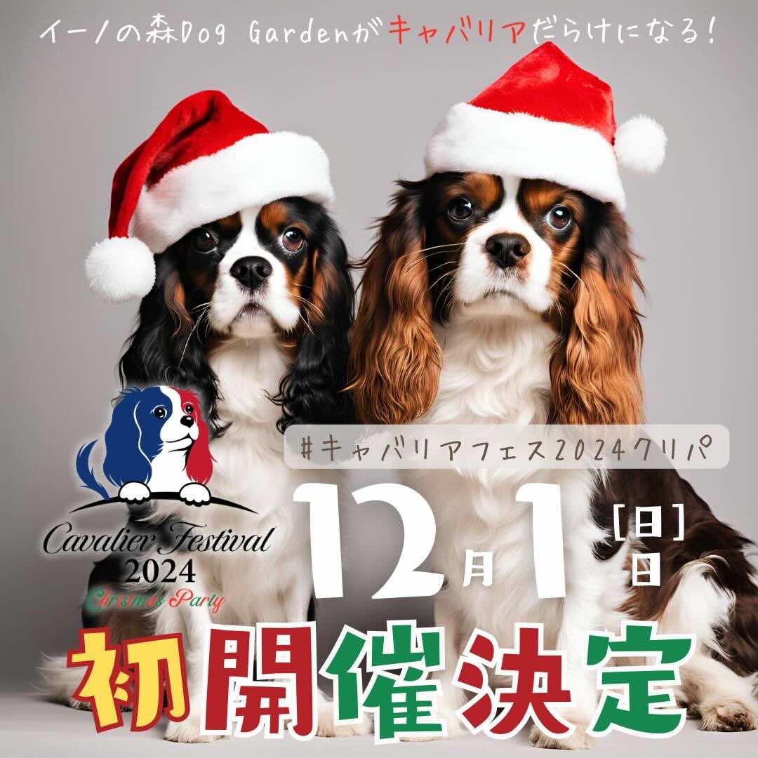 キャバリアフェスティバル 2024 クリパの画像