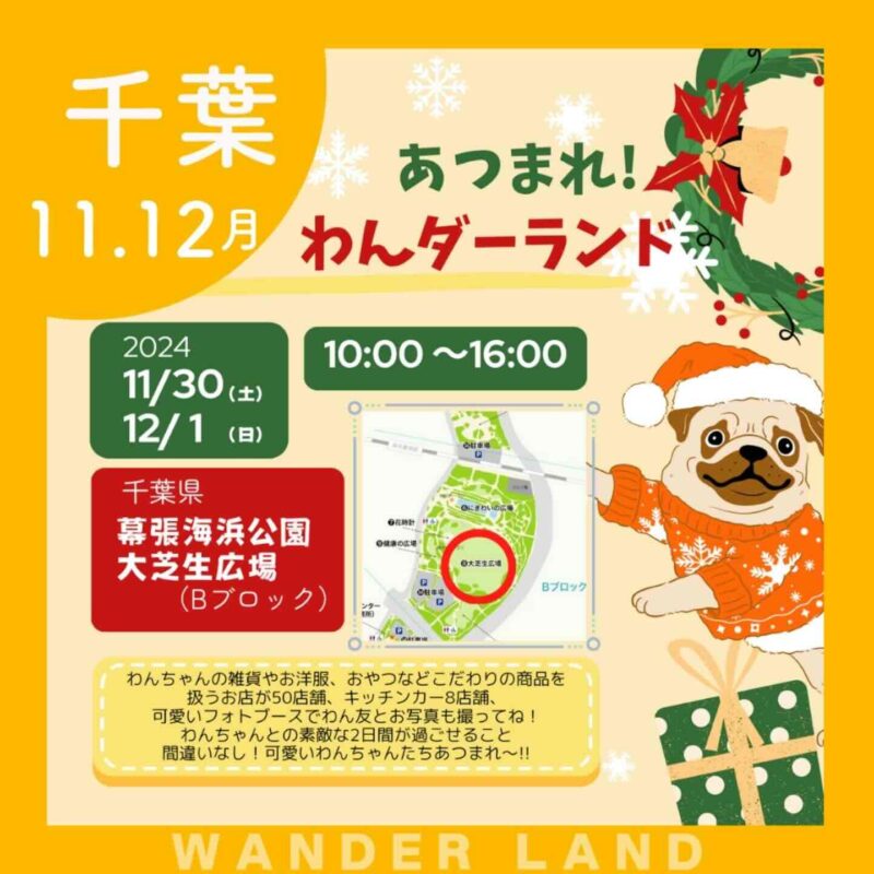 あつまれ！わんダーランドの画像