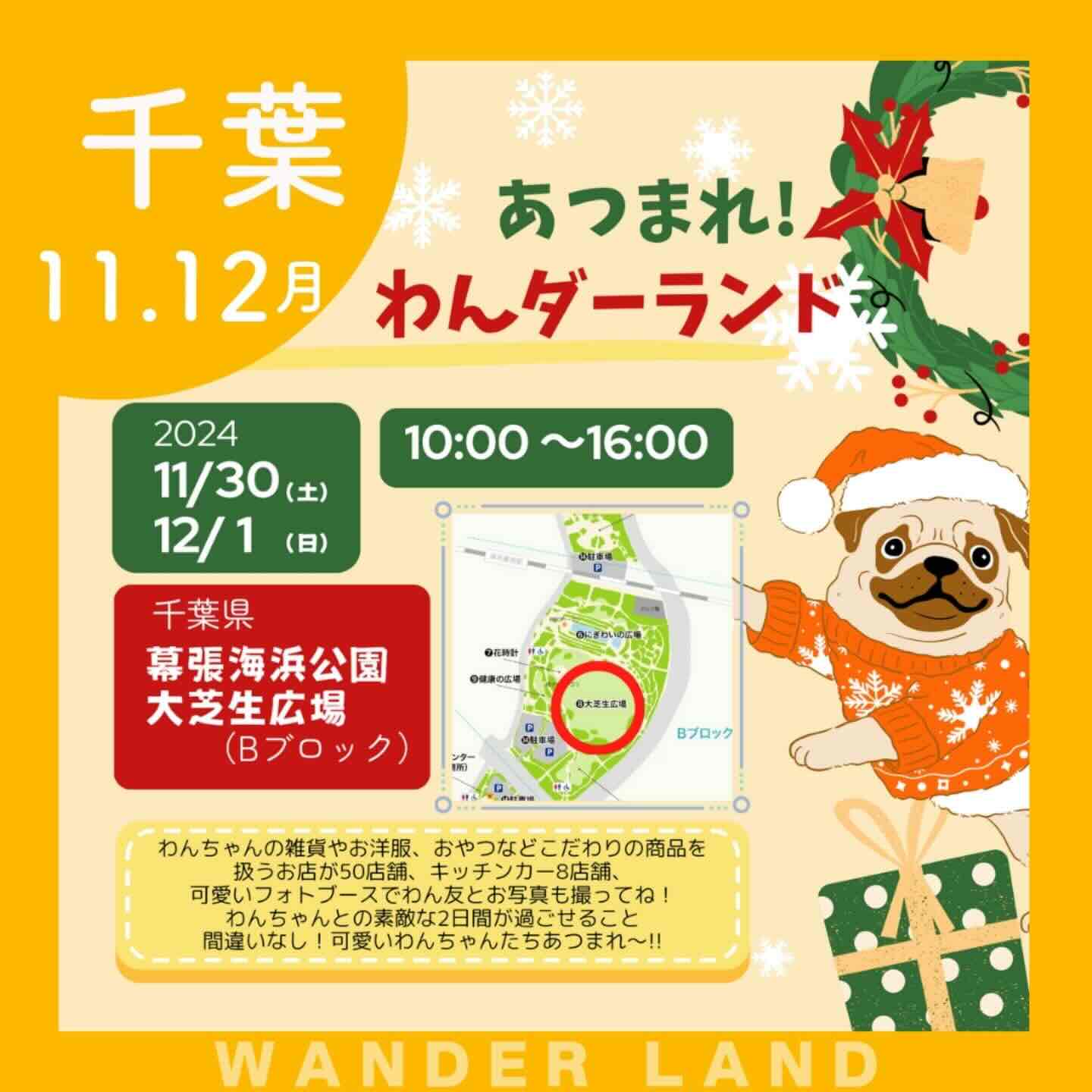 あつまれ！わんダーランドの画像