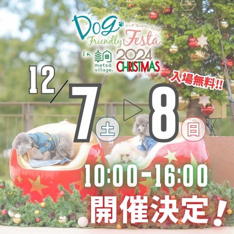 ドッグフレンドリーフェスタ in メッツァビレッジ 2024 Christmasの画像