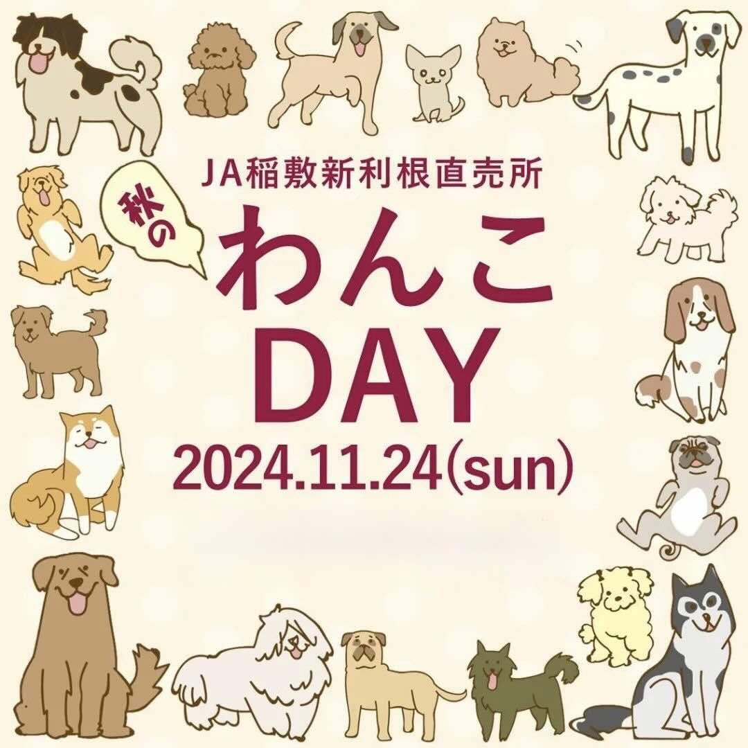 秋のわんこDAYの画像