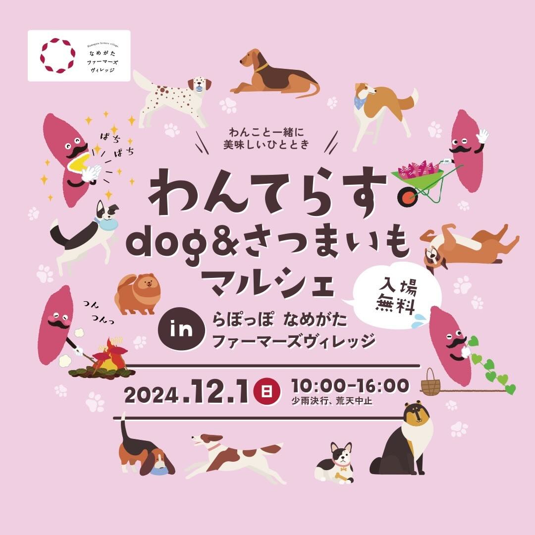 わんてらす dog&さつまいもマルシェの画像