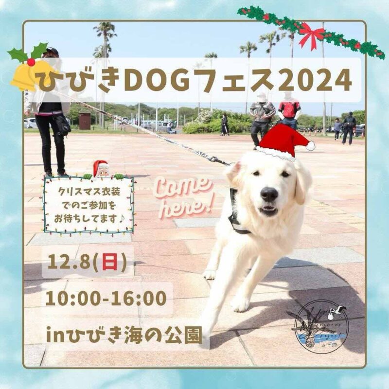 ひびきDOGフェス2024の画像