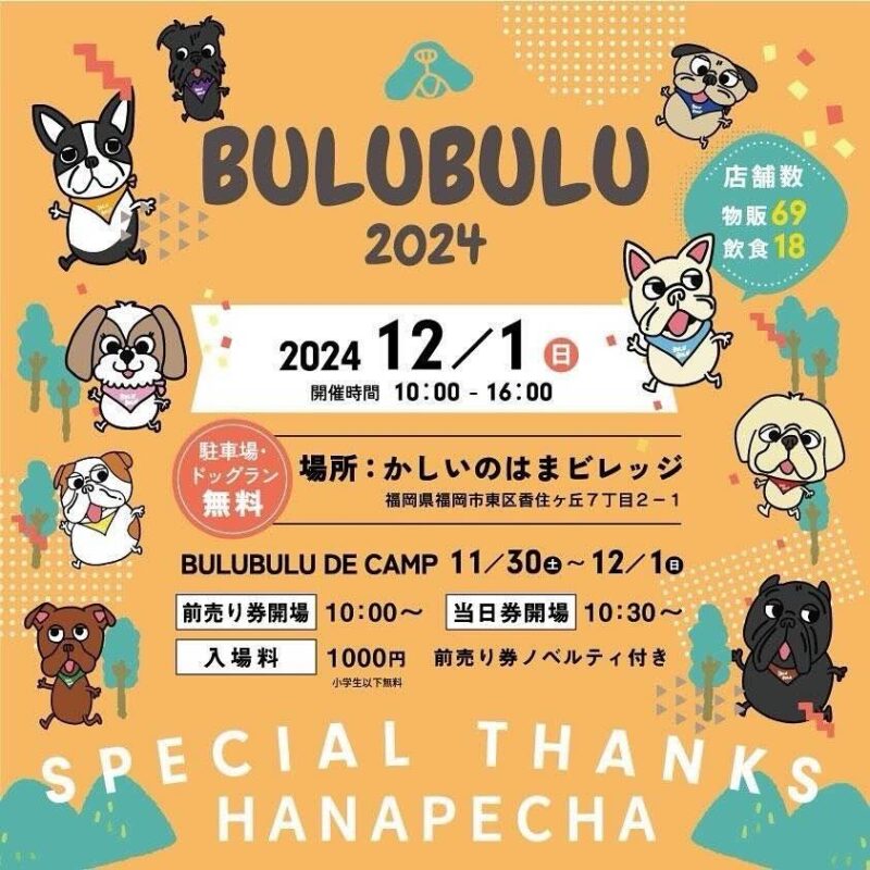 BULU BULU 2024の画像