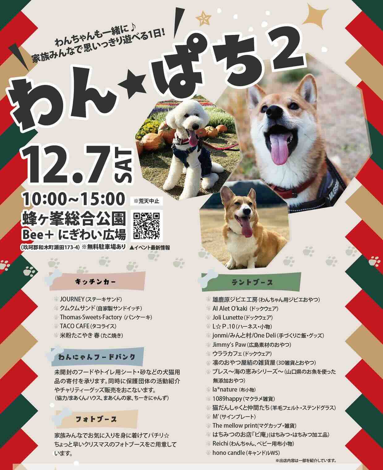 わん★ぱち2の画像