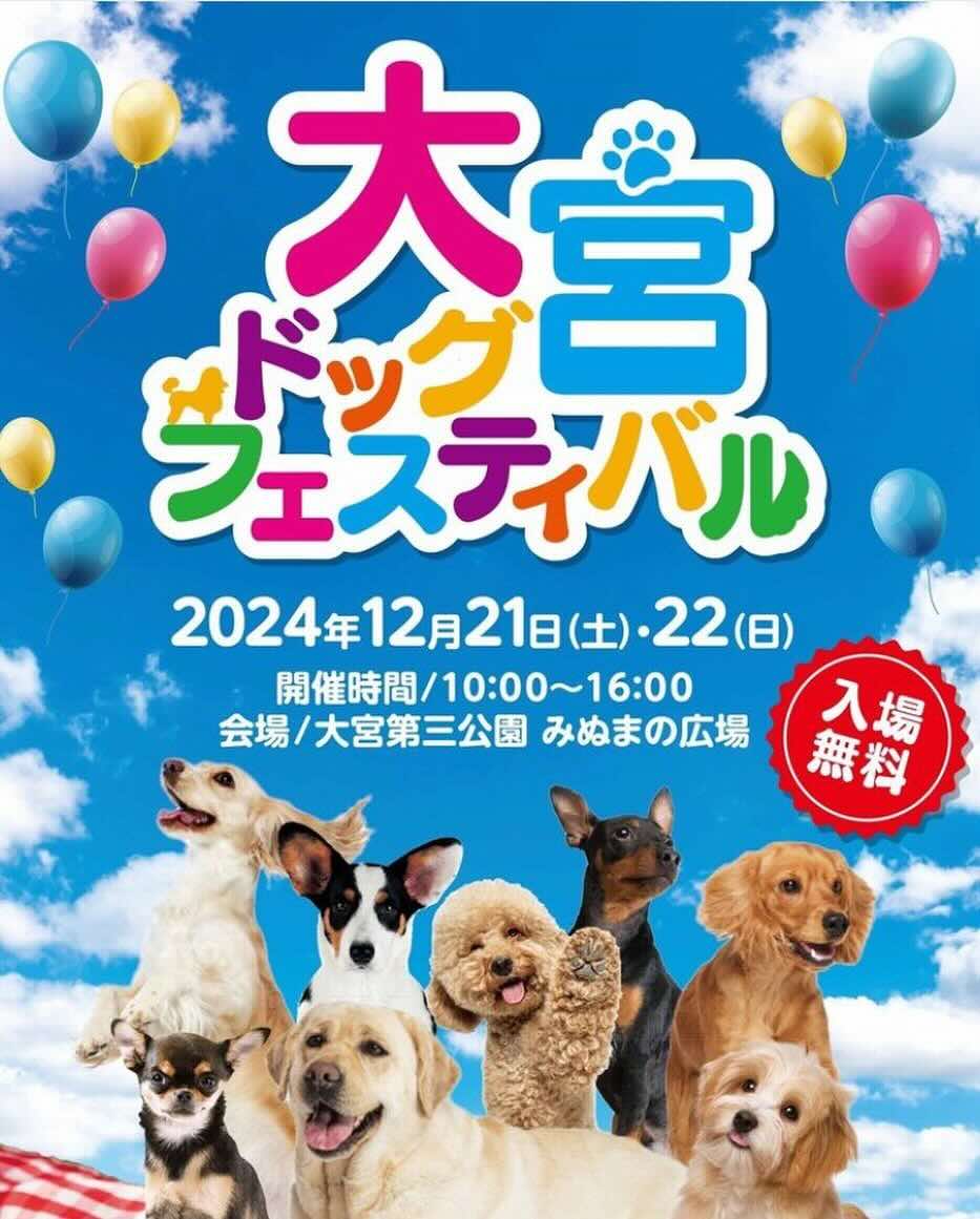 大宮ドッグフェスティバル の画像