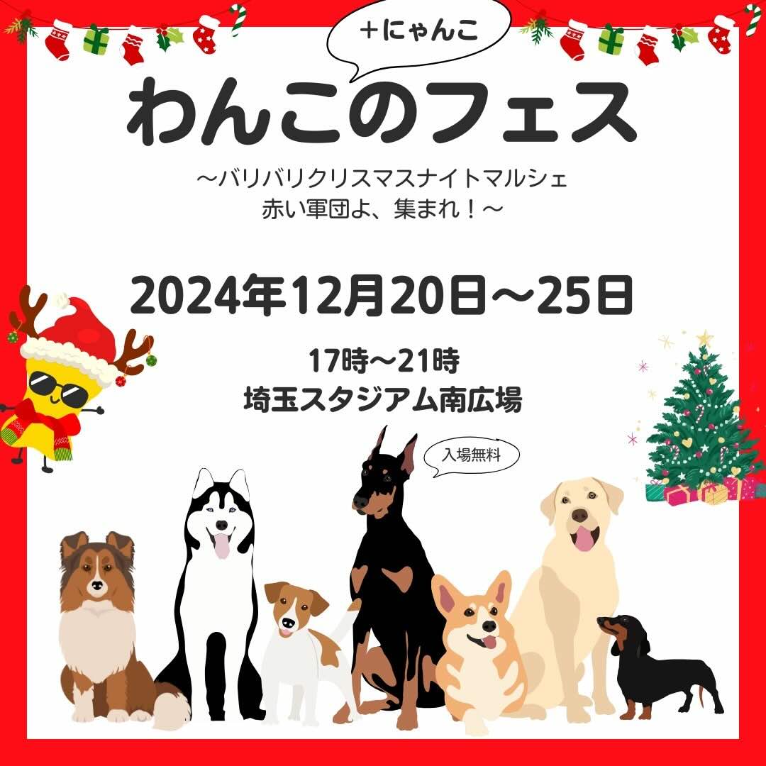 わんこのフェス 第2.5回~バリバリクリスマスナイトマルシェ 赤い軍団よ、集まれ!~の画像