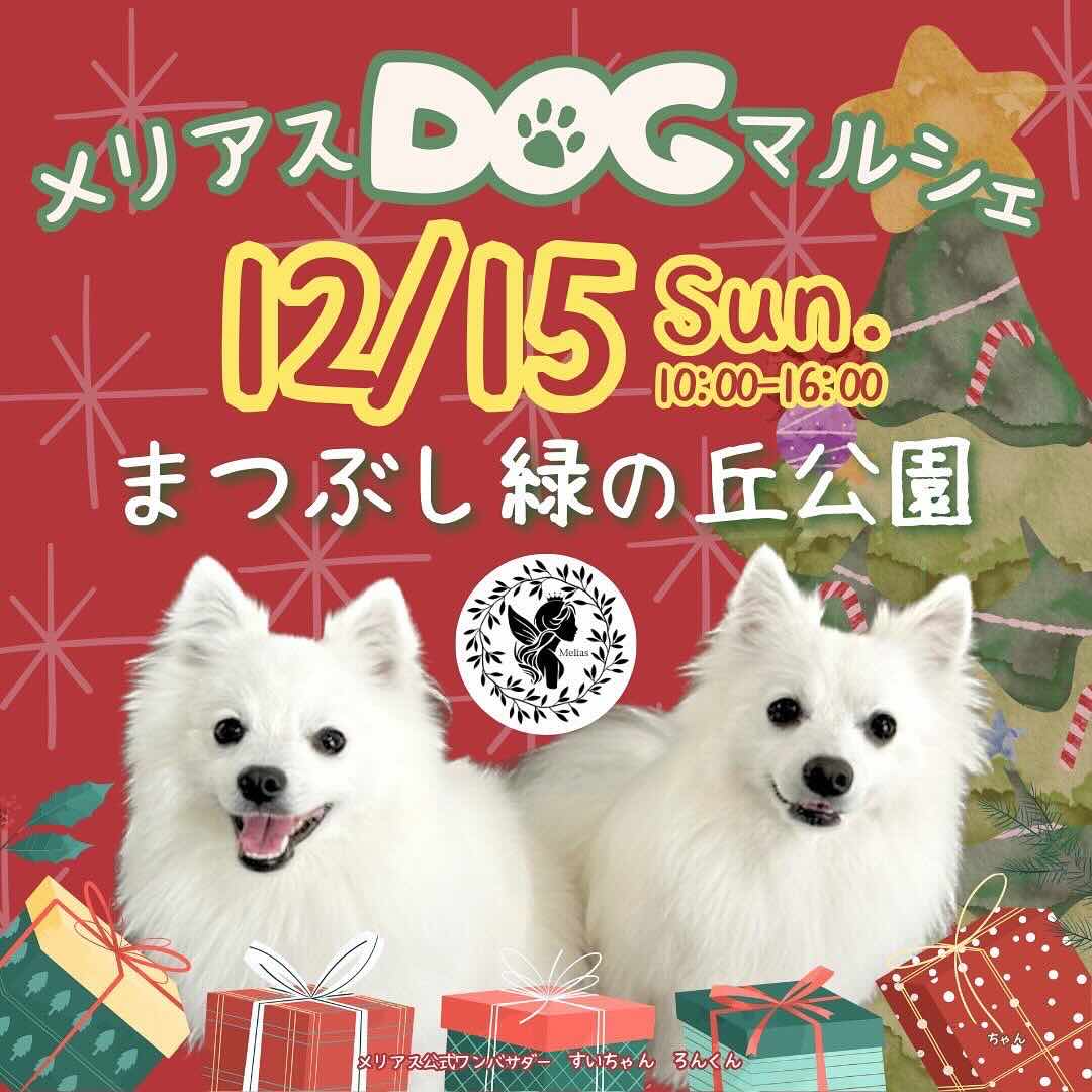 メリアスDOG ×ハンドメイドマルシェの画像