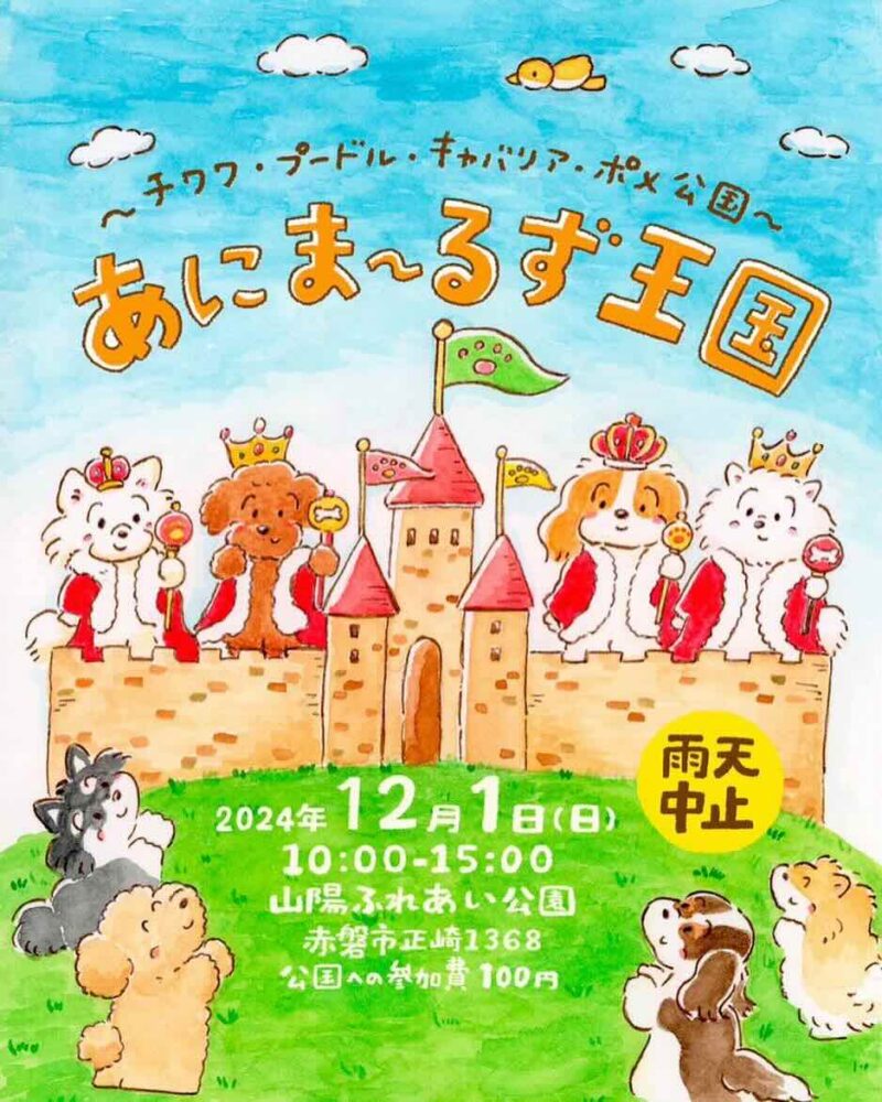 第1回目あにま～るず王国 〜チワワ・プードル・キャバリア・ポメ公国〜の画像