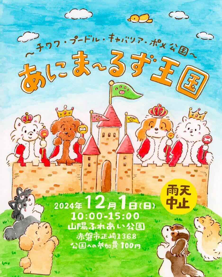 第1回目あにま~るず王国 〜チワワ・プードル・キャバリア・ポメ公国〜の画像