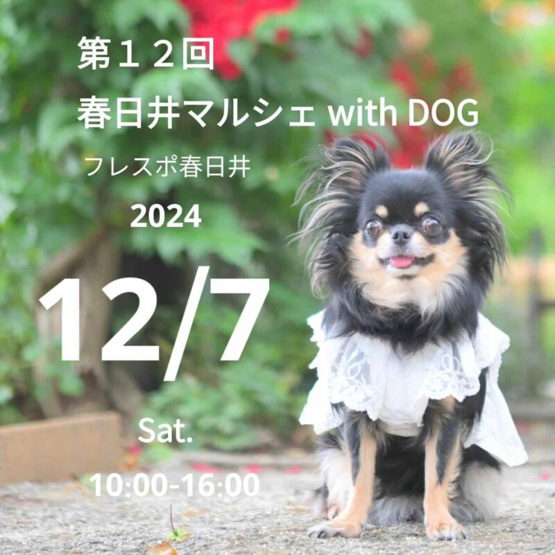 第12回 春日井マルシェ with DOGの画像