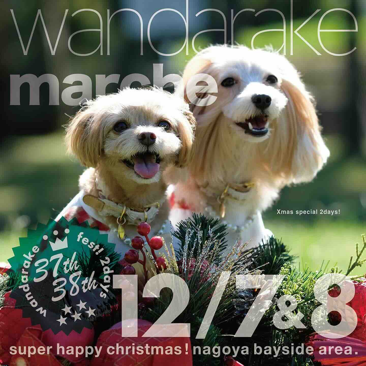 wandarake marche 37 & 38(わんだらけマルシェ)の画像