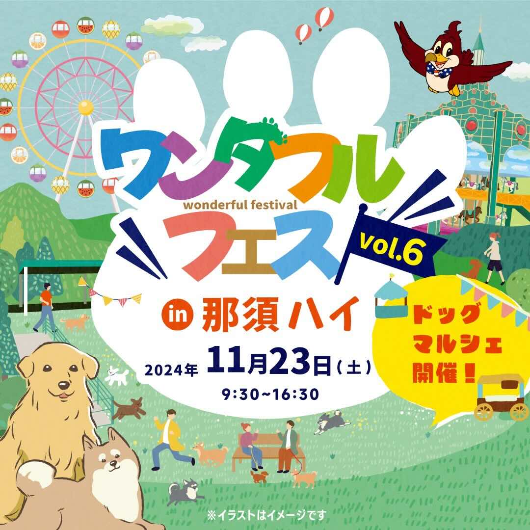 ワンダフルフェスVOL.6、7の画像