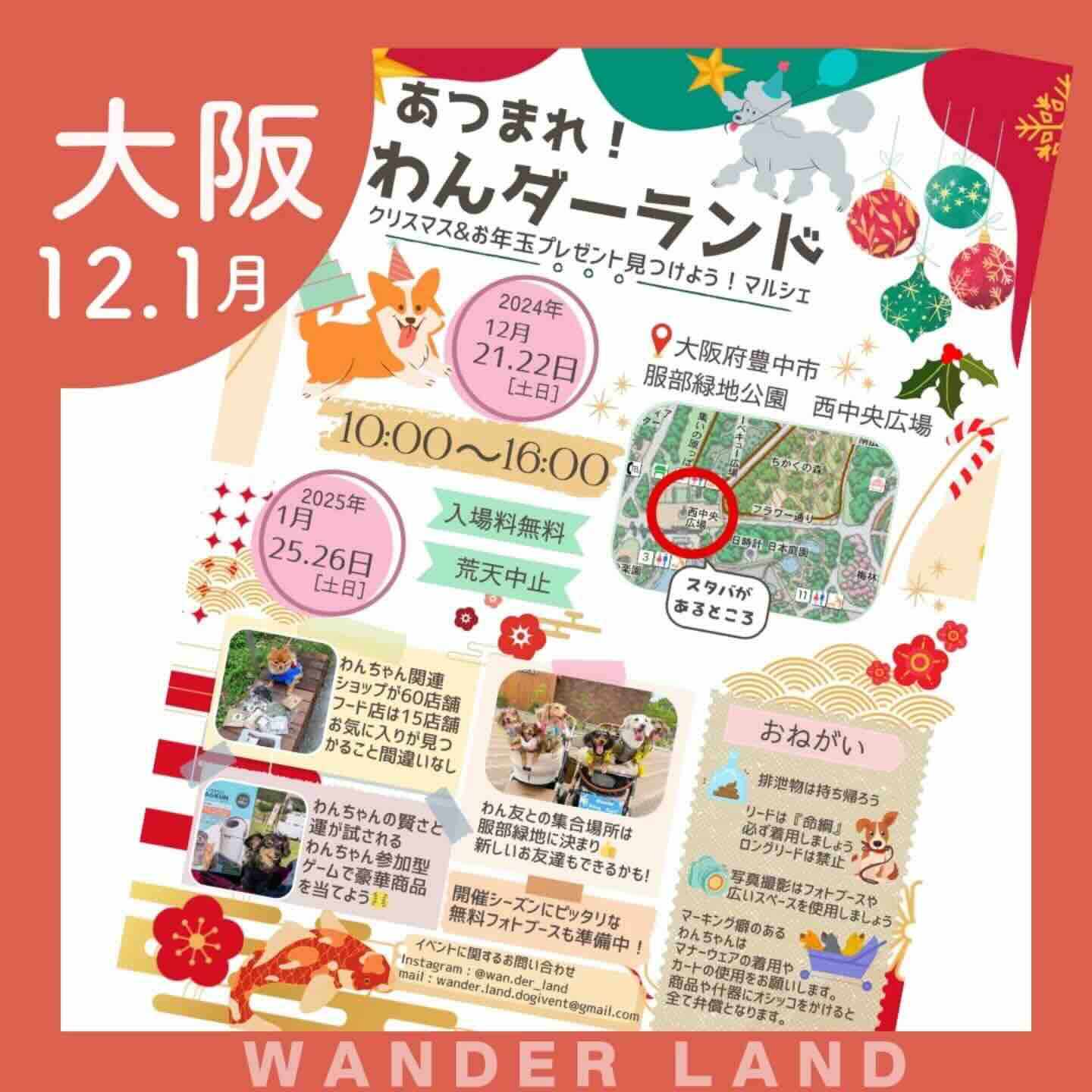 あつまれ!わんダーランドの画像