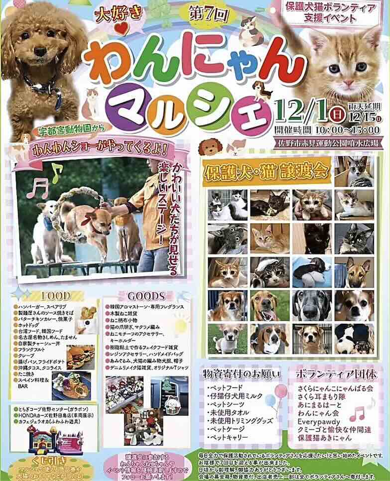 第7回 大好き♡わんにゃんマルシェの画像