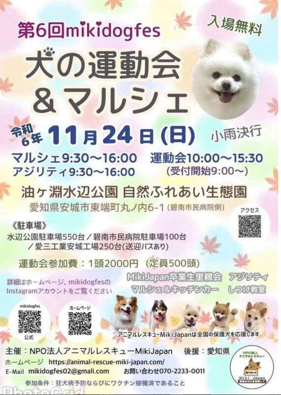第6回 mikidogfes 犬の運動会&マルシェの画像