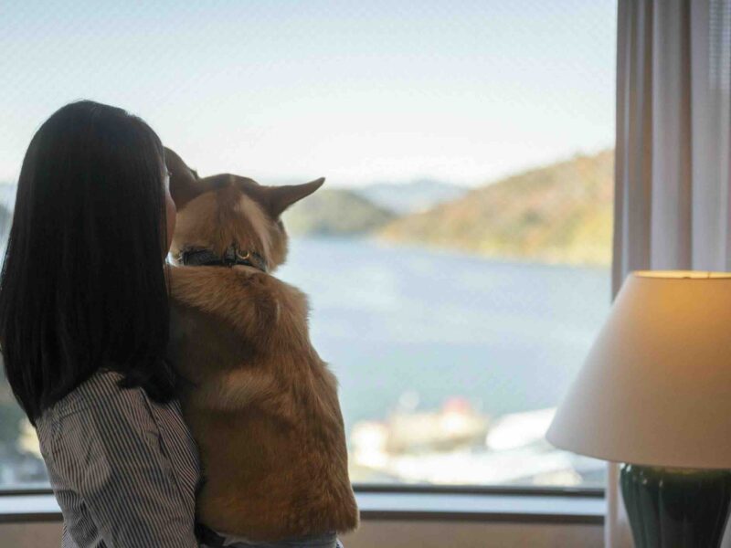 【ラテちゃんねる】浜名湖わんわんパラダイスホテルの画像