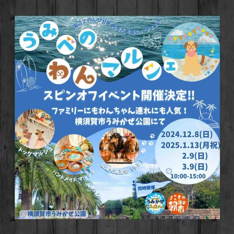 うみべのわんマルシェ スピンオフイベントの画像