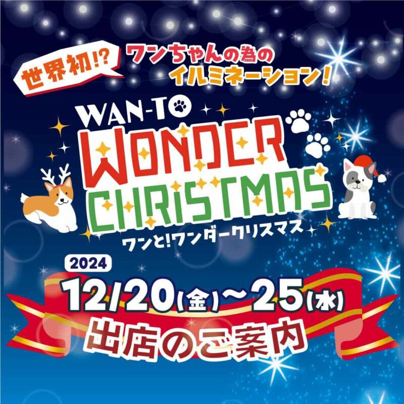 WAN-TO ワンダークリスマスの画像