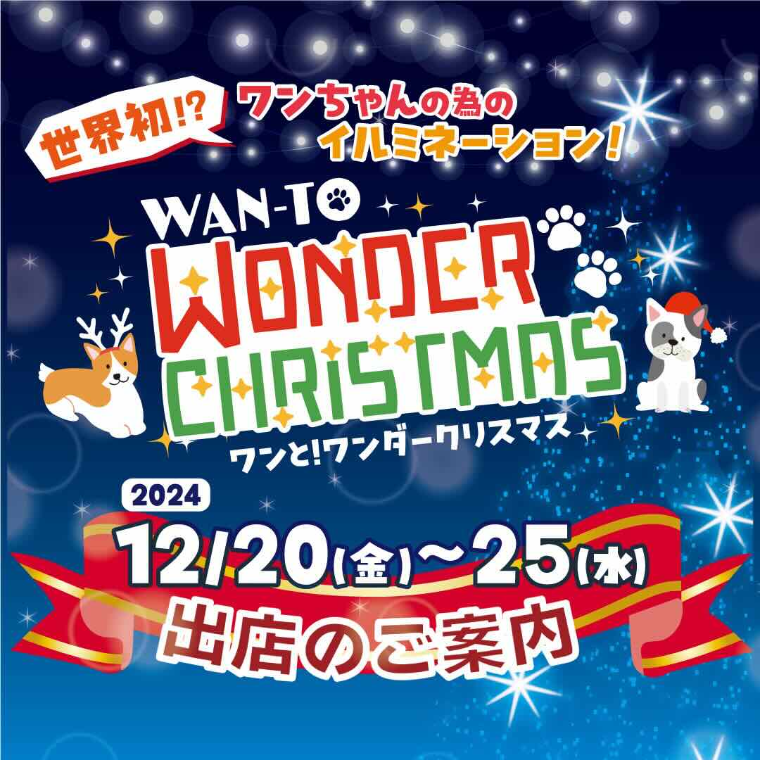 WAN-TO ワンダークリスマスの画像