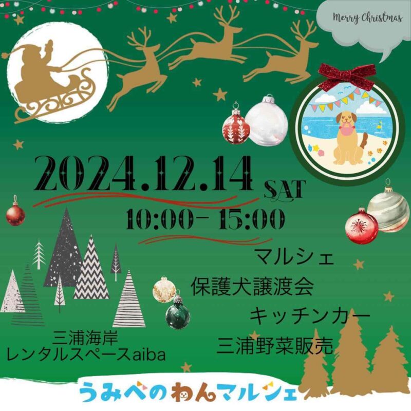 うみべのわんマルシェの画像