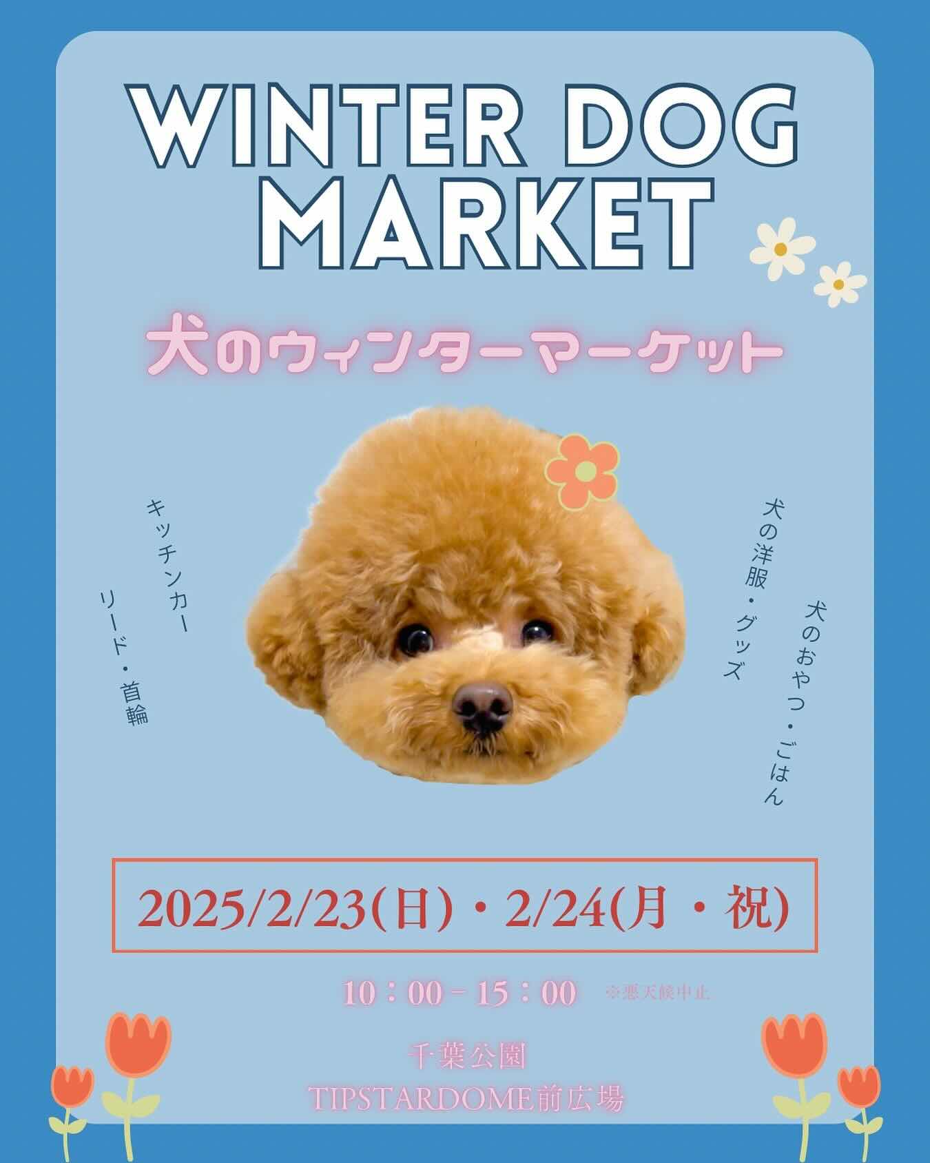 THE DOG FES-犬のウィンターマーケット2025-の画像