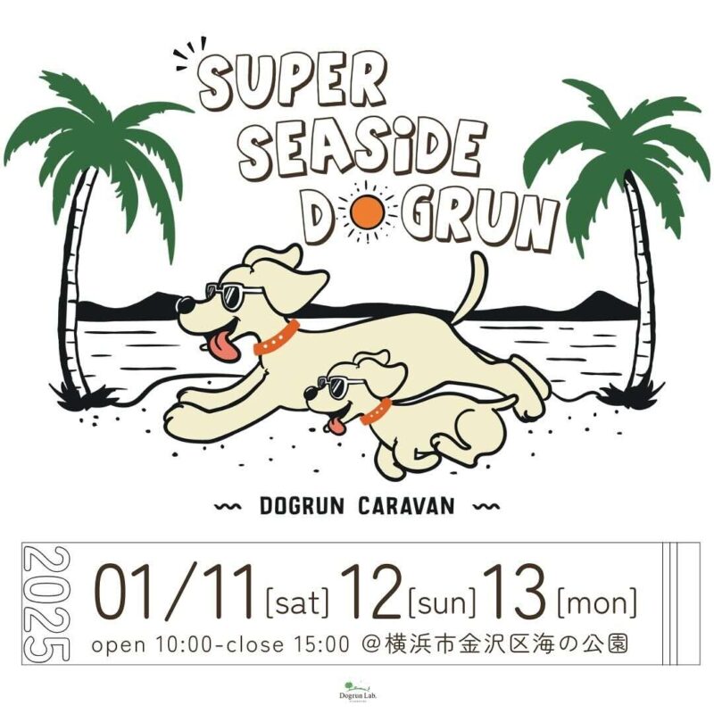 SUPER SEASIDE DOGRUN 2025の画像