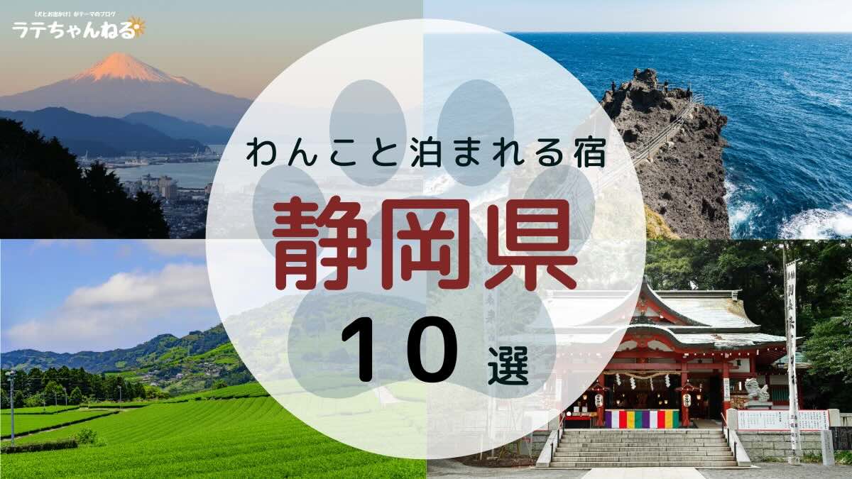 【ラテちゃんねる】静岡県わんこと泊まレル宿10選