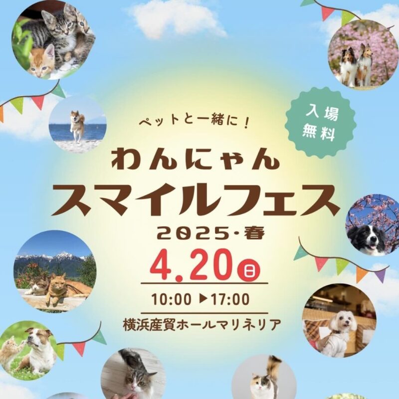 わんにゃんスマイルフェス2025・春のイベント画像
