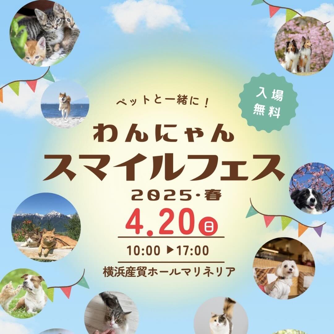 わんにゃんスマイルフェス2025・春のイベント画像