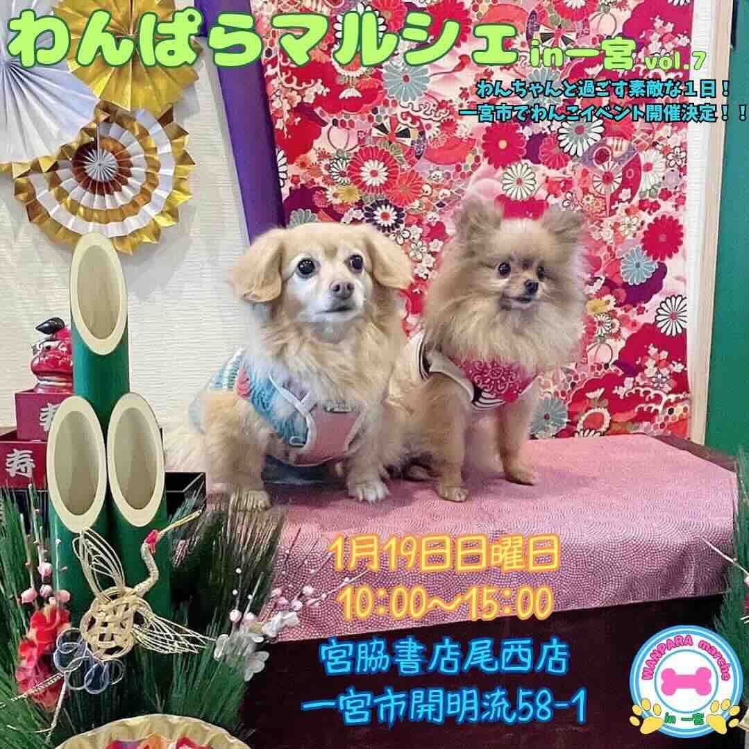 わんぱらマルシェ in 一宮 vol.7の画像