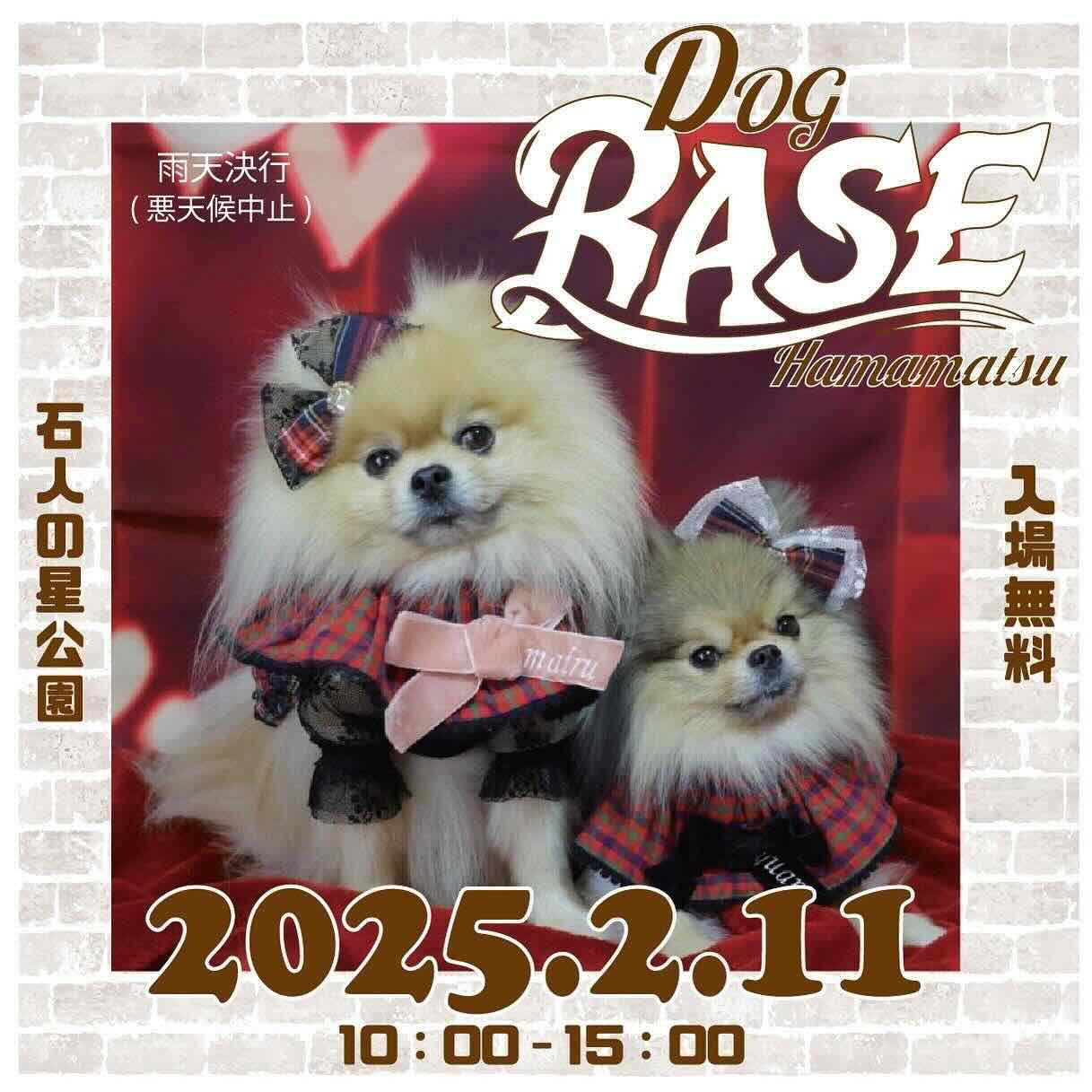 DOG BASE in Hamamatsuの画像