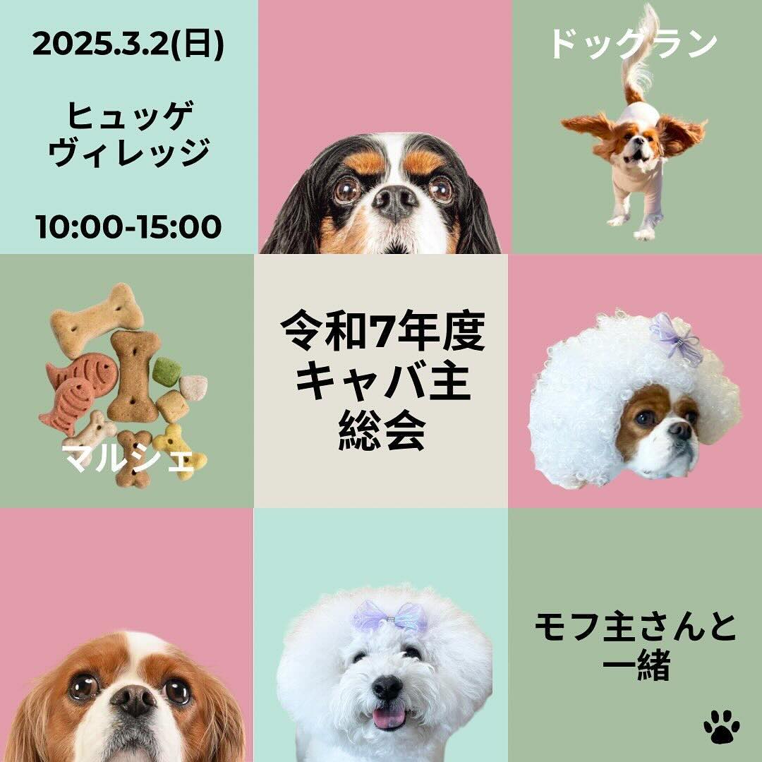 令和7年度 キャバ主総会のイベント画像
