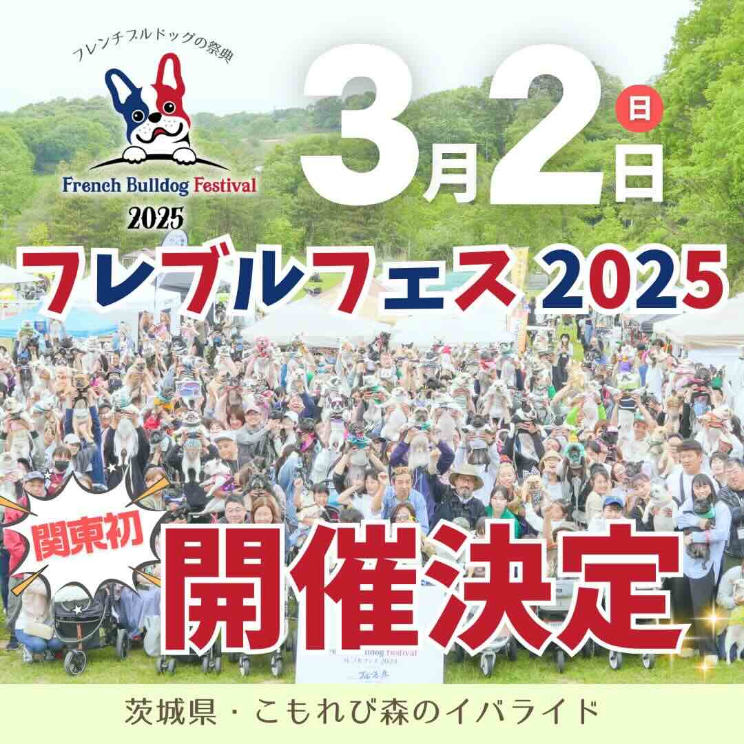 フレブルフェス 2025のイベント画像