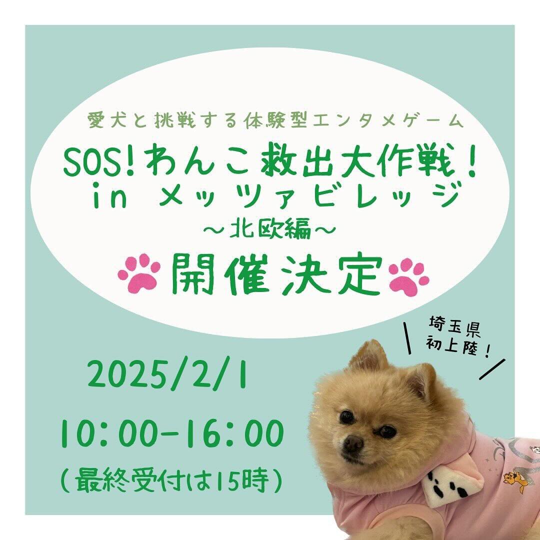 SOS!わんこ救出大作戦!in メッツァビレッジの画像