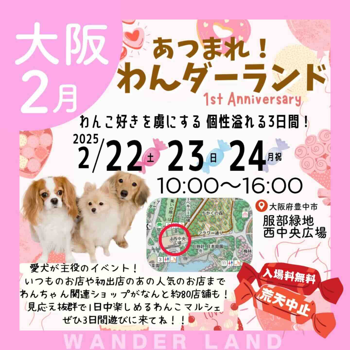 あつまれ!わんダーランドの画像