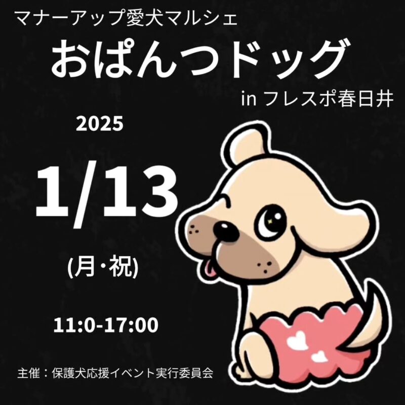 おぱんつドッグ in フレスポ春日井の画像