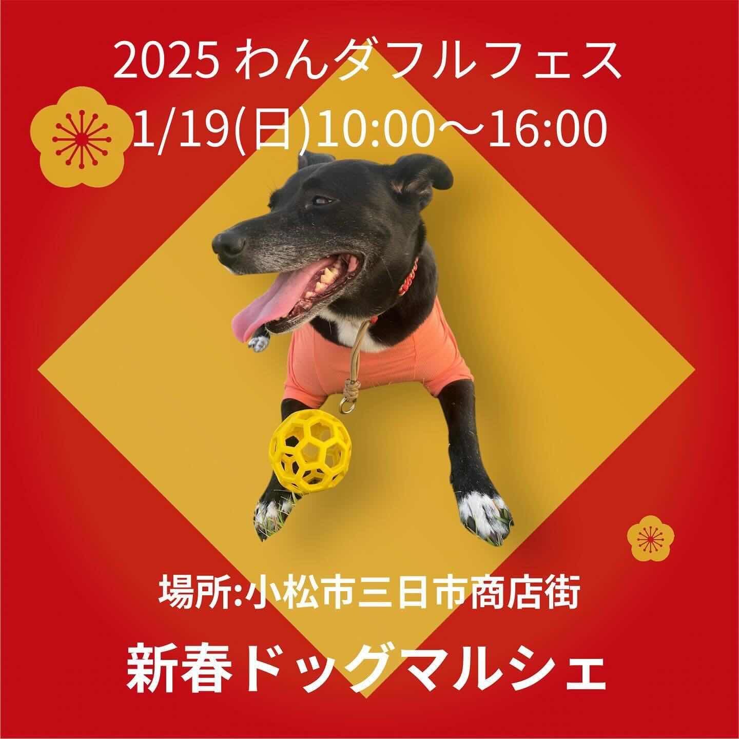 わんダフルフェス2025のイベント画像